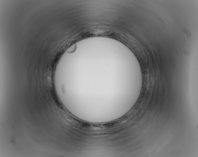X0000111150510200906301040