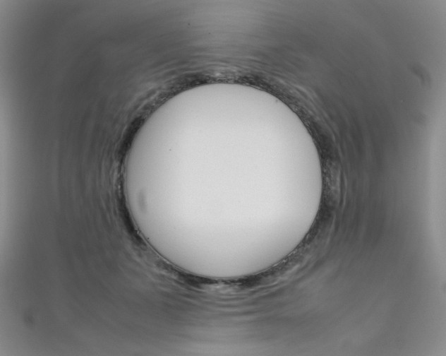 X0000111150511200906301040