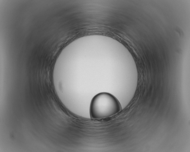 X0000111150512200906301040