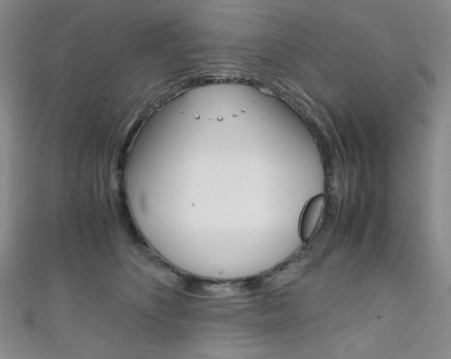 X0000111150516200906301040