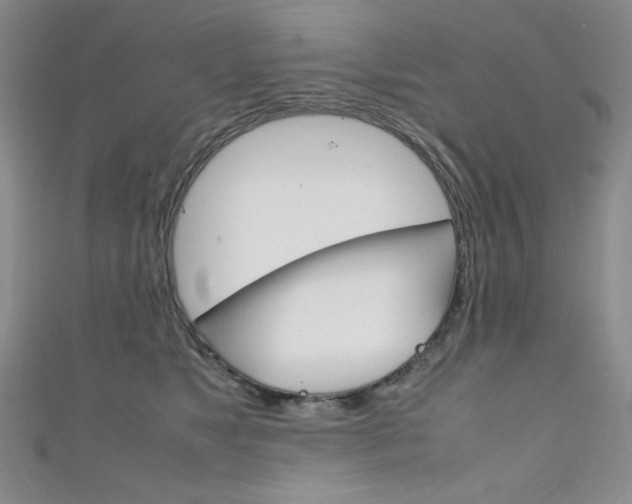X0000111150517200906301040