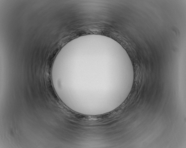 X0000111150518200906301040