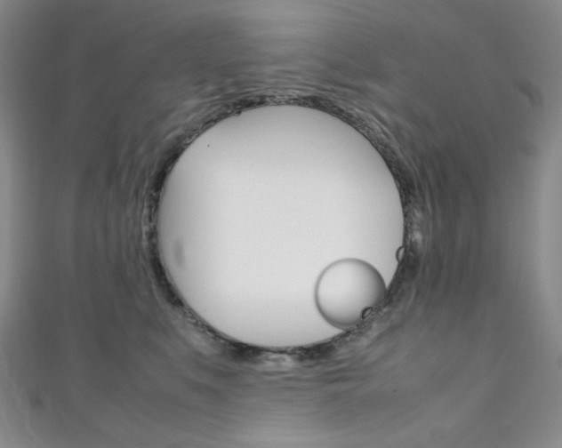 X0000111150519200906301040