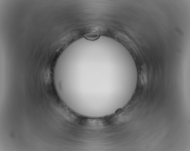 X0000111150520200906301040