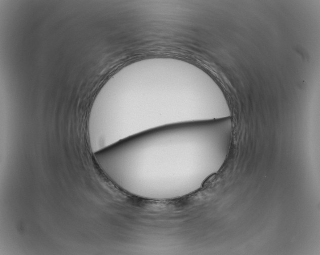 X0000111150521200906301040