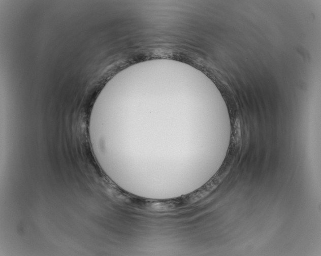 X0000111150522200906301040