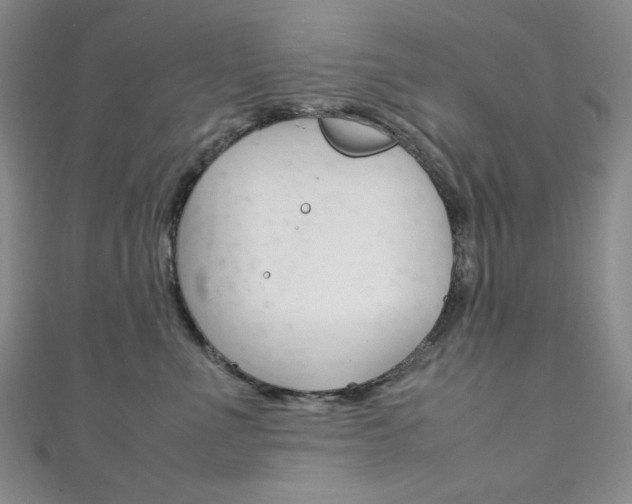 X0000111150523200906301040