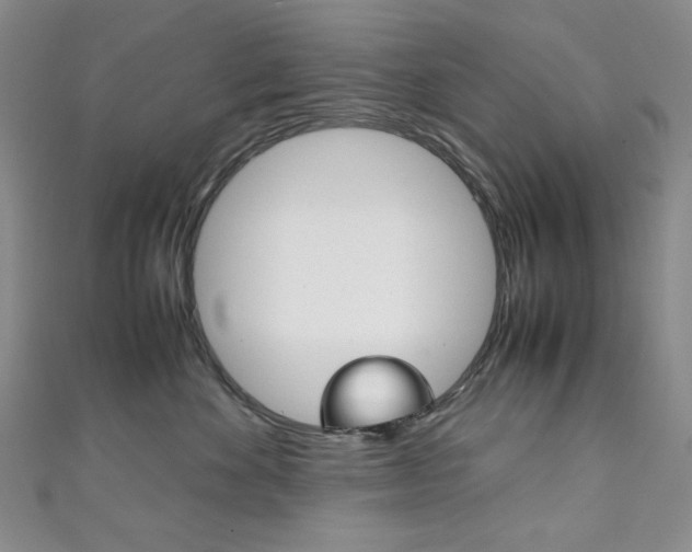 X0000111150524200906301040