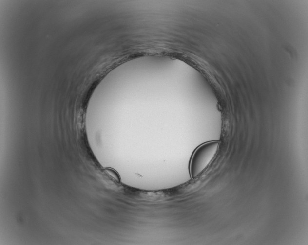 X0000111150525200906301040