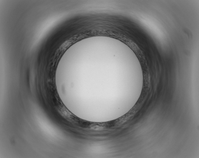 X0000111150526200906301040