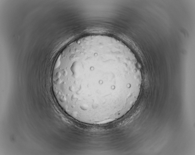 X0000111150529200906301039