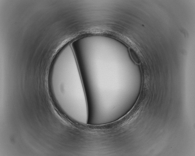 X0000111150530200906301039
