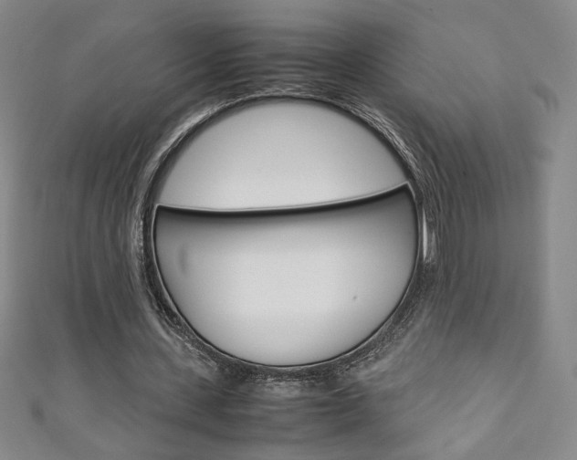 X0000111150531200906301039