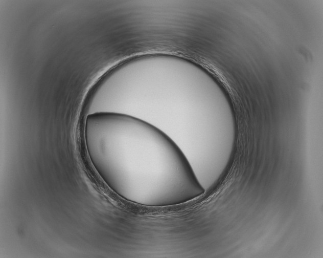 X0000111150532200906301039