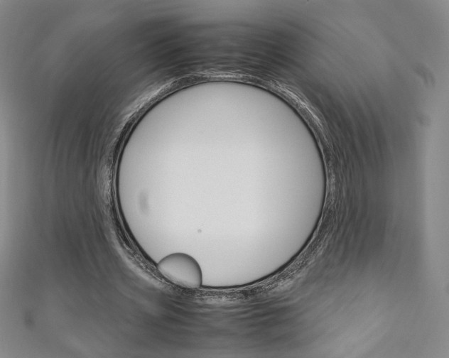 X0000111150533200906301039