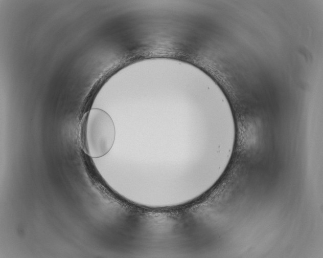 X0000111150534200906301039