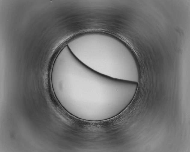 X0000111150535200906301039