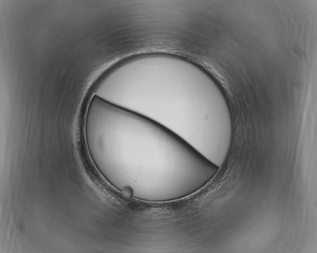 X0000111150536200906301039