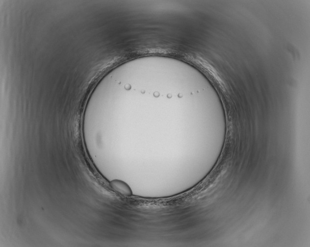 X0000111150537200906301039