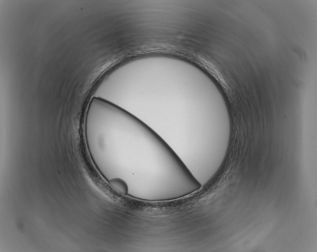 X0000111150538200906301039