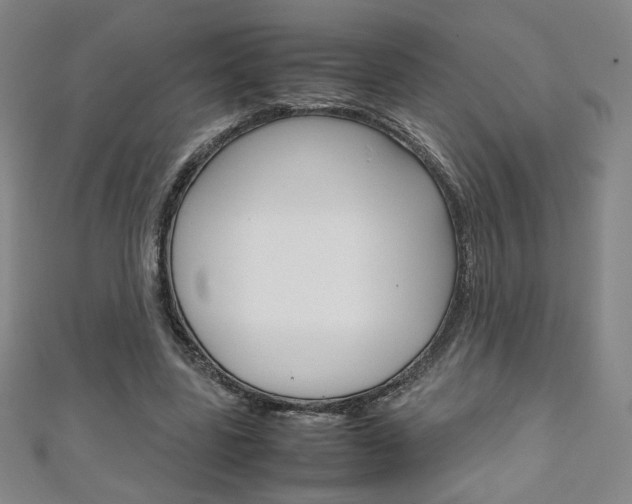 X0000111150539200906301039