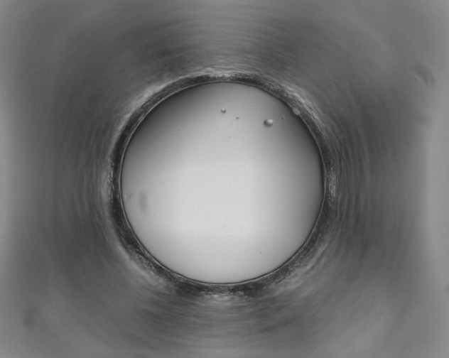 X0000111150540200906301039