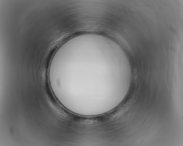 X0000111150542200906301039