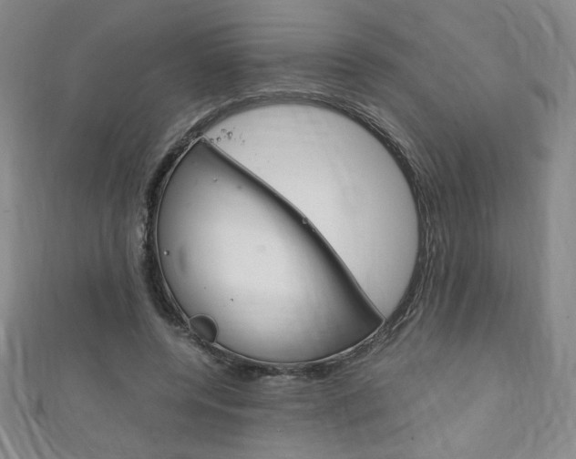 X0000111150544200906301039