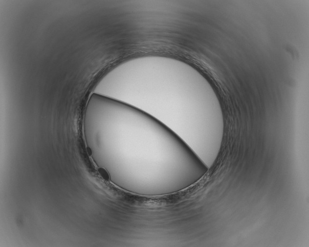X0000111150546200906301039