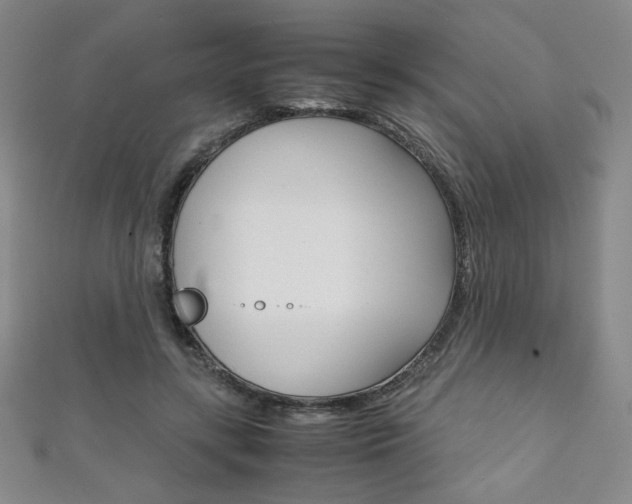 X0000111150547200906301039