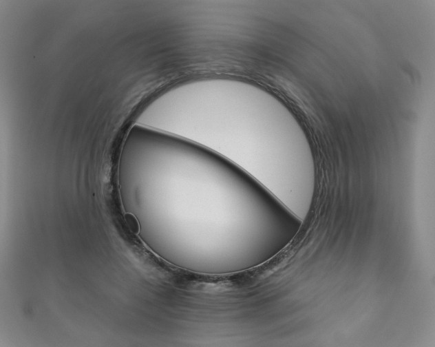 X0000111150548200906301039