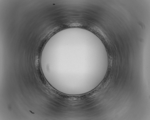 X0000111150549200906301039
