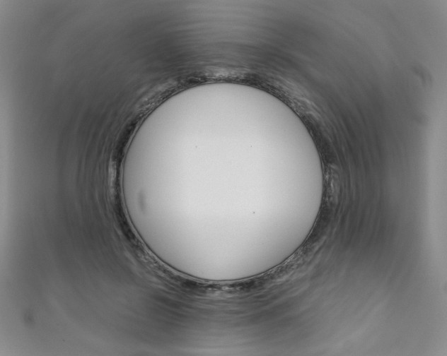 X0000111150550200906301040