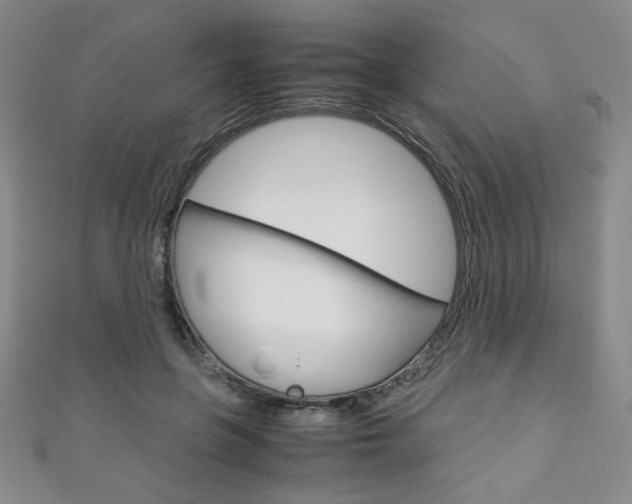 X0000111150551200906301040