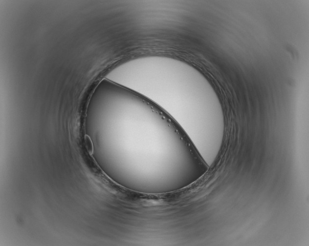 X0000111150552200906301040