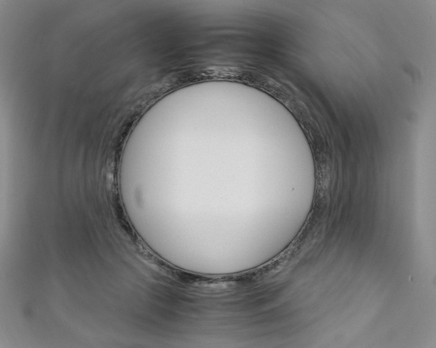 X0000111150553200906301040