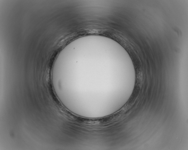 X0000111150554200906301040