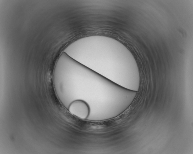 X0000111150555200906301040