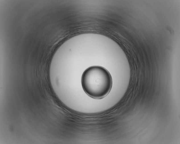 X0000111150556200906301040