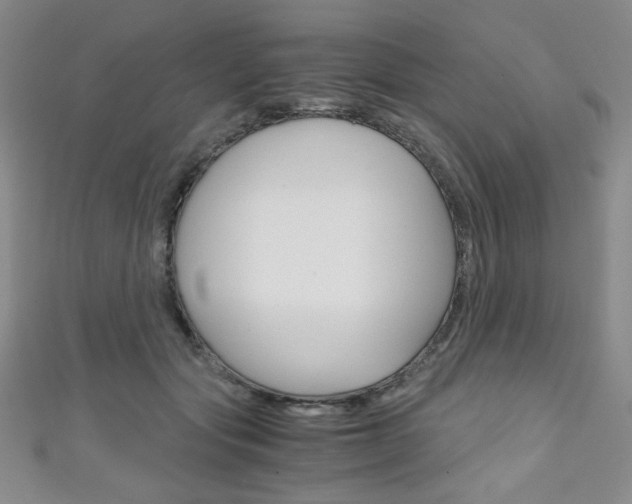 X0000111150557200906301040