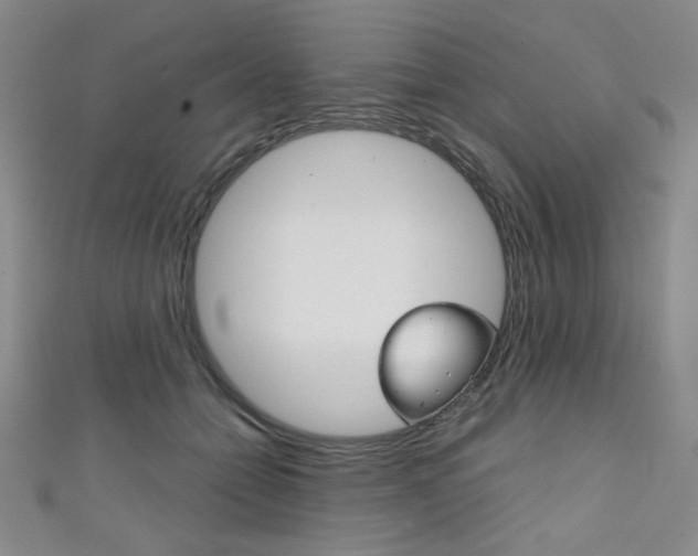 X0000111150558200906301040