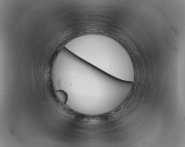 X0000111150559200906301040