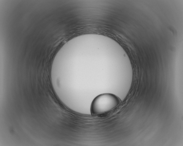 X0000111150560200906301040
