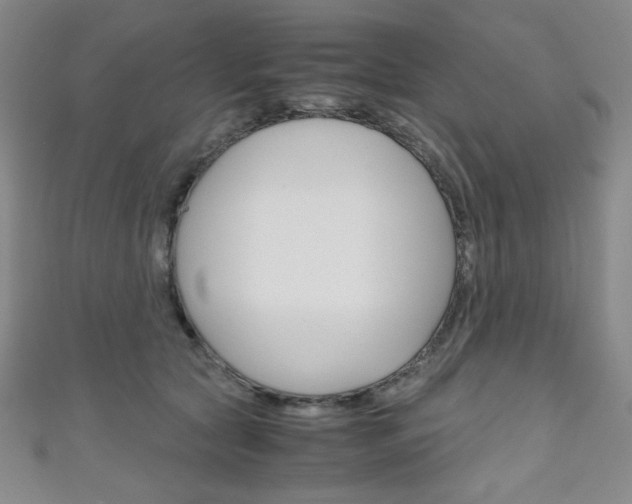 X0000111150561200906301040