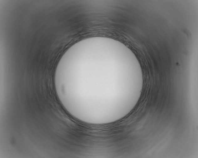 X0000111150562200906301040