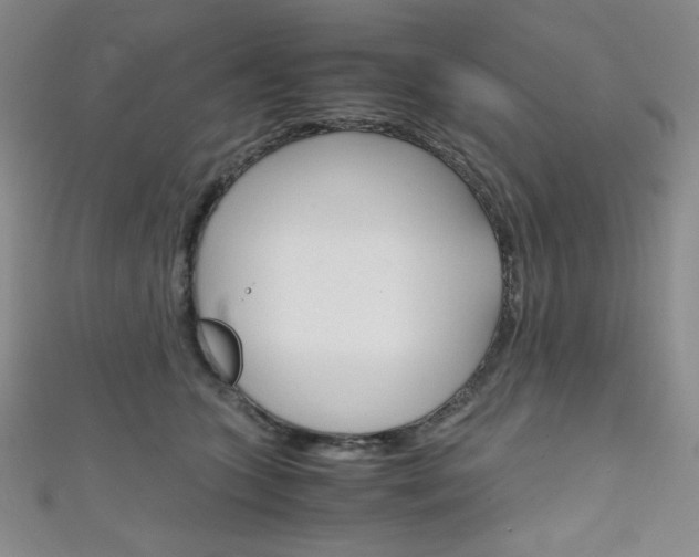 X0000111150563200906301040
