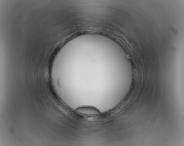 X0000111150564200906301040