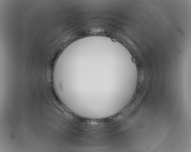 X0000111150565200906301040