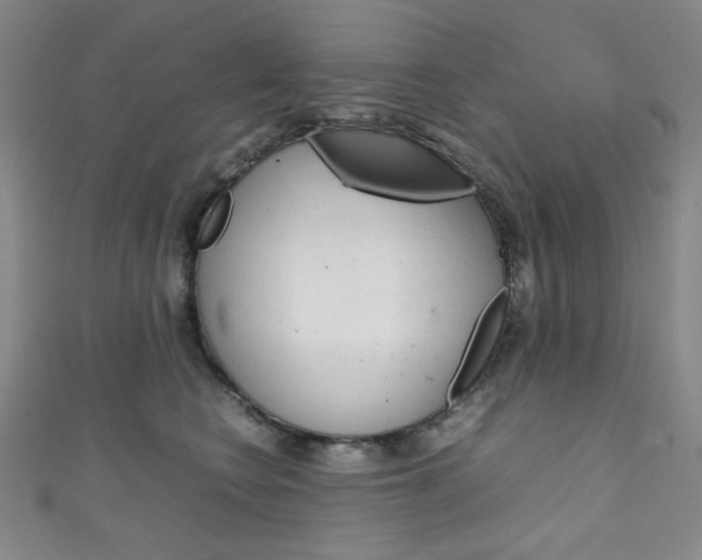 X0000111150566200906301040