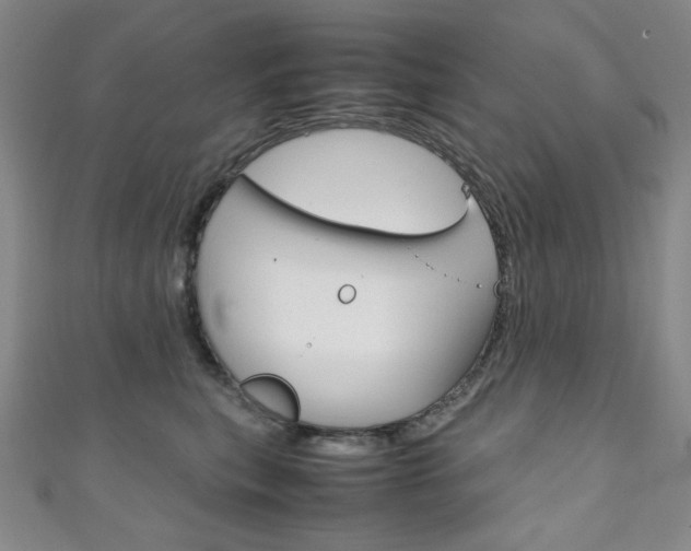 X0000111150567200906301040